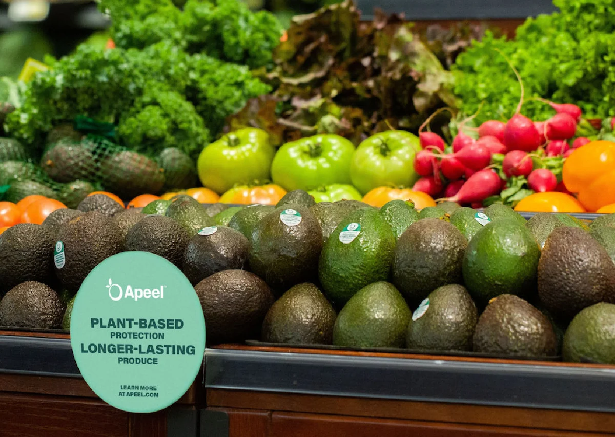 A New Solution to Food Waste หนทางสู่ความยั่งยืน เรื่องขยะอาหาร
