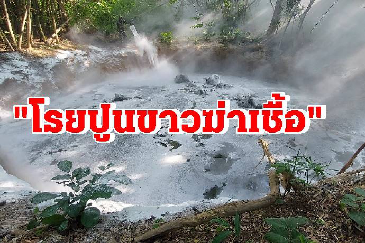 จนท.ขนปูนขาว 400 กก.โรยซาก 5 ช้างป่า หลังตกหลุมยุบ จนท.ขนปูนขาว 400 กก.โรยซาก 5 ช้างป่า หลังตกหลุมยุบ