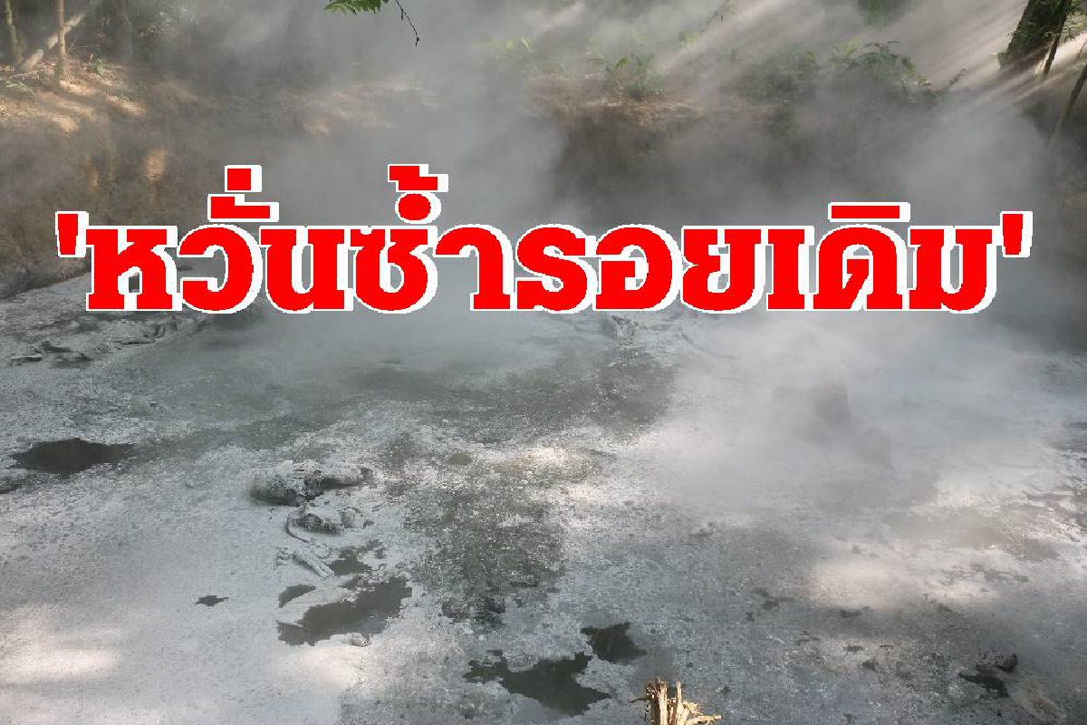 หวั่นซ้ำรอย! ช้างป่า 5 ตัวตกหลุมยุบตายยกโขลง หวั่นซ้ำรอย! ช้างป่า 5 ตัวตกหลุมยุบตายยกโขลง