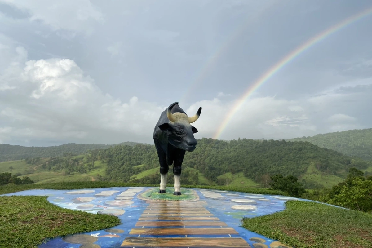 นักท่องเที่ยวตื่นตา ! ปรากฏการณ์รุ้งกินน้ำ เหนือจุดชมวิวเขาแผงม้า