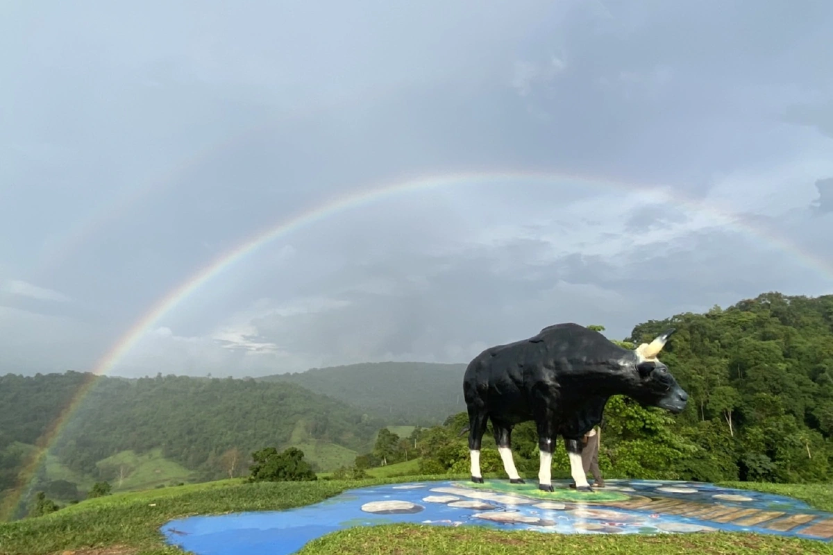 นักท่องเที่ยวตื่นตา ! ปรากฏการณ์รุ้งกินน้ำ เหนือจุดชมวิวเขาแผงม้า