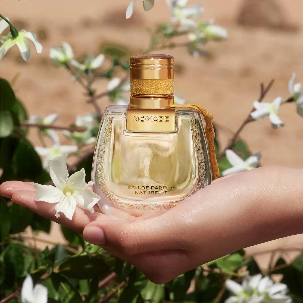 Chloe Nomade Eau de Parfum Naturelle วีแกนพาร์ฟูมที่เข้าใจโลก ไม่แพ้รู้ใจผู้หญิง
