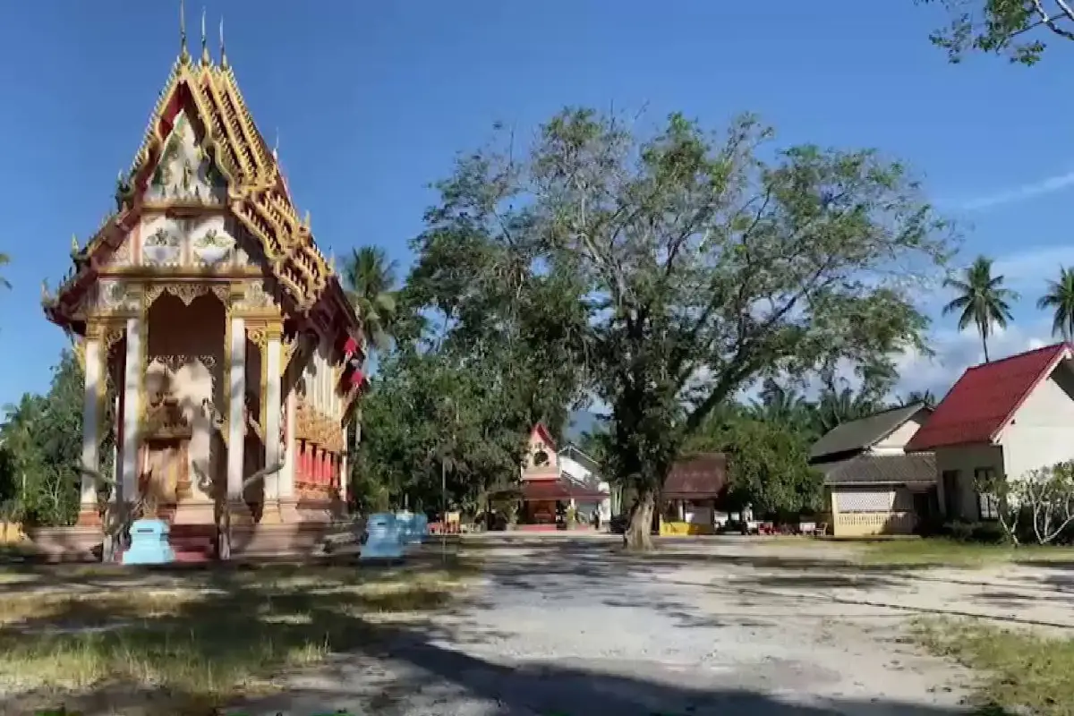 ชาวบ้านผวาลิงดุไล่กัดแผลเหวอะวอนช่วยจับกลัวเด็กได้รับอันตราย