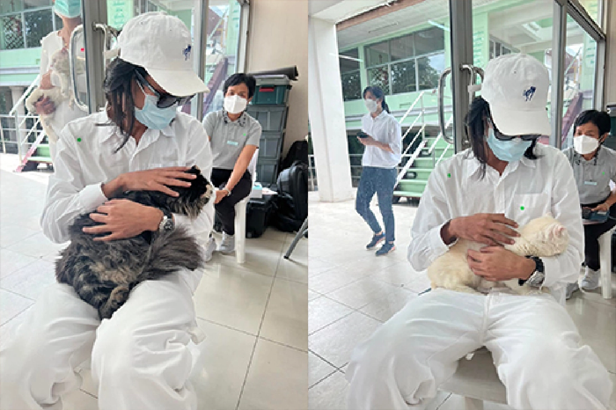 “เบิร์ด” พาแก๊งแมวลูกรัก “แตงโม” มาส่งแม่ครั้งสุดท้ายแบบพร้อมหน้า