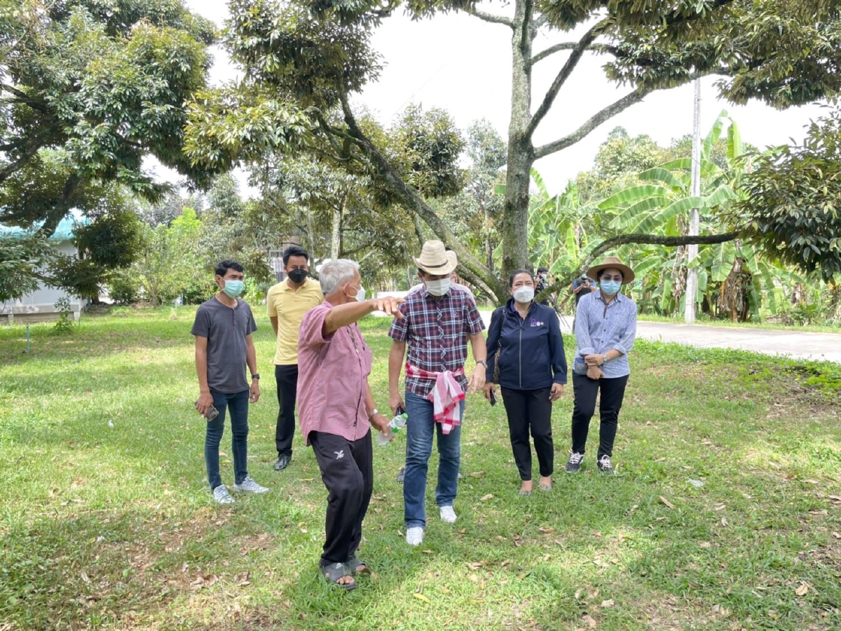 นอภ.ชวนเที่ยวชิมทุเรียน"สวนลุงเสริฐ"ของดีศรีราชา