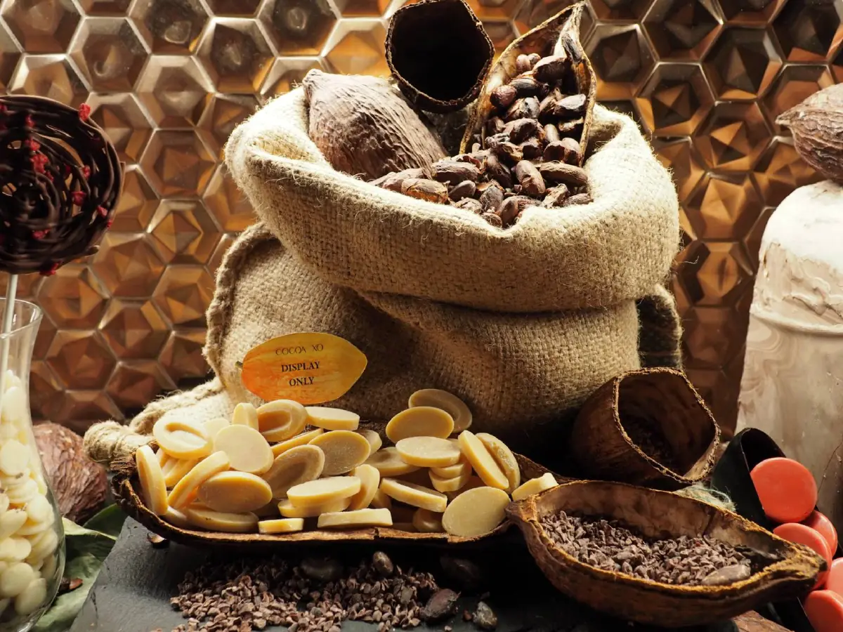 COCOA XO รูฟท็อปบาร์ระฟ้า แหล่งแฮงเอาท์ใหม่ในคอนเซ็ปต์ Sky-High Cognac and Chocolate