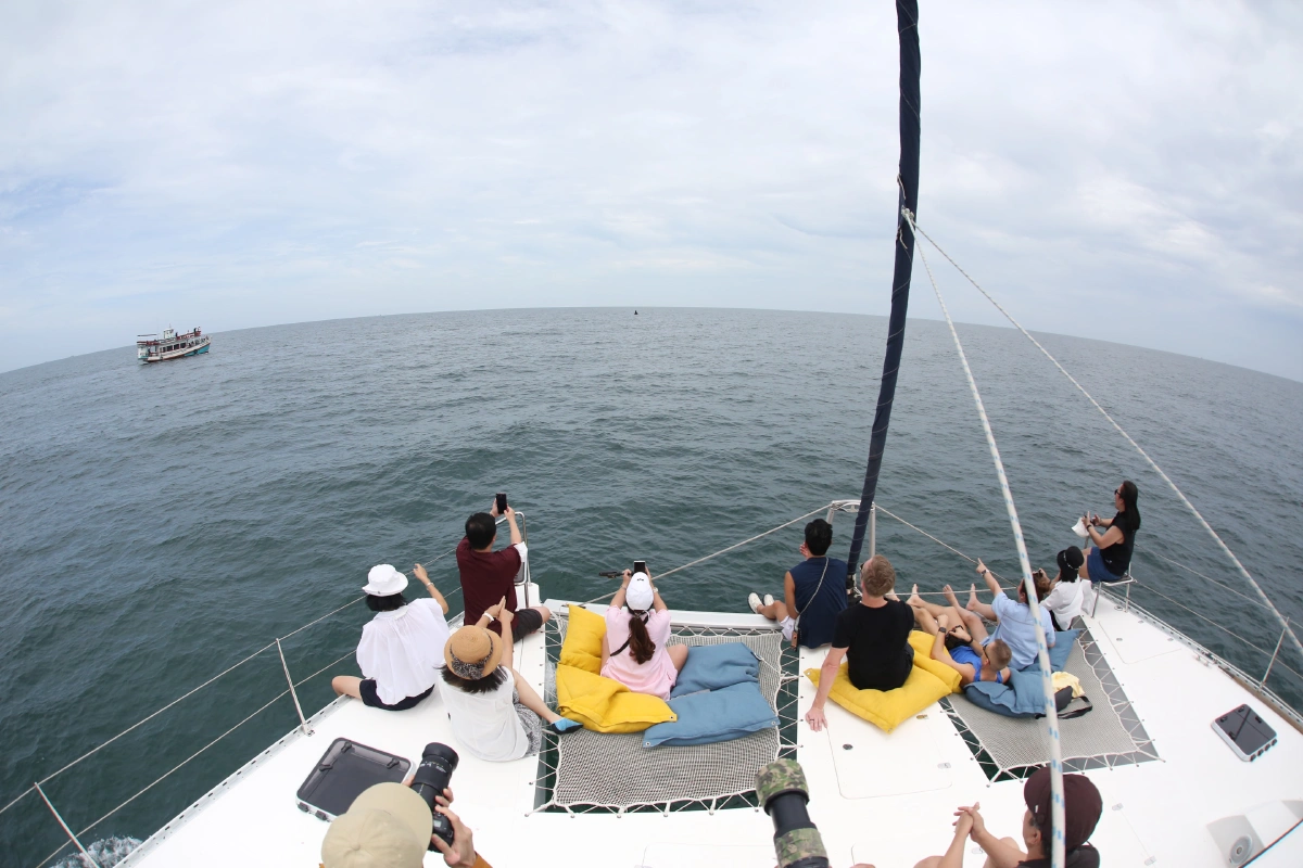 ฮือฮาแห่จองทริปนั่งเรือยอชต์ดู"วาฬบรูด้า"ทะเลแม่กลองล้น