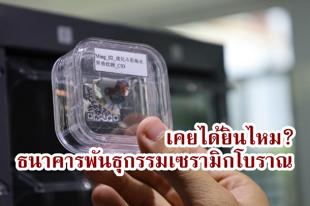 แบบนี้ก็มีในโลก จีนเตรียมสร้าง ‘ธนาคารพันธุกรรม’ เซรามิกโบราณ