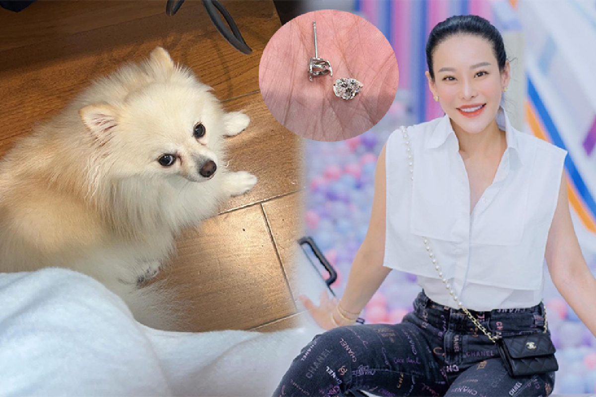 "หนิง ปณิตา" หัวใจจะวาย! น้องหมากัดต่างหูเพชรจนพังหลุดออกมา "หนิง ปณิตา" หัวใจจะวาย! น้องหมากัดต่างหูเพชรจนพังหลุดออกมา
