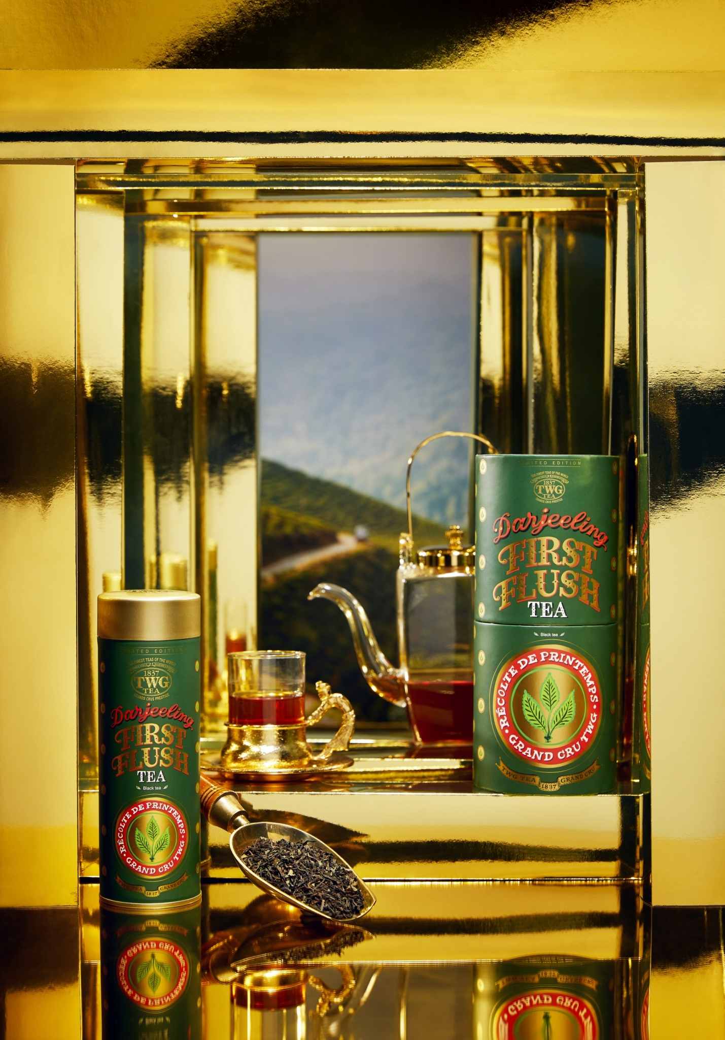 2022 Darjeeling First Flush ชาชั้นดีแห่งปีที่เปี่ยมล้นด้วยอรรถรส