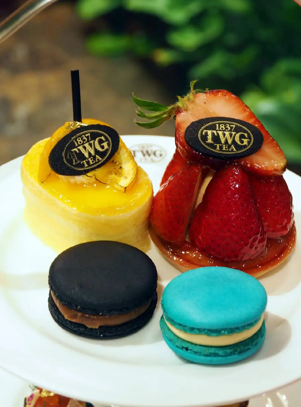 2022 Darjeeling First Flush ชาชั้นดีแห่งปีที่เปี่ยมล้นด้วยอรรถรส