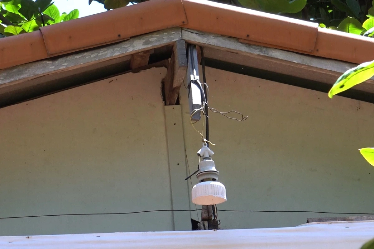 “ฝูงลิง”เขาน้อยอพยพหากินชายหาดแหลมสมิหลา เดือดร้อนร้านอาหาร-นักท่องเที่ยว