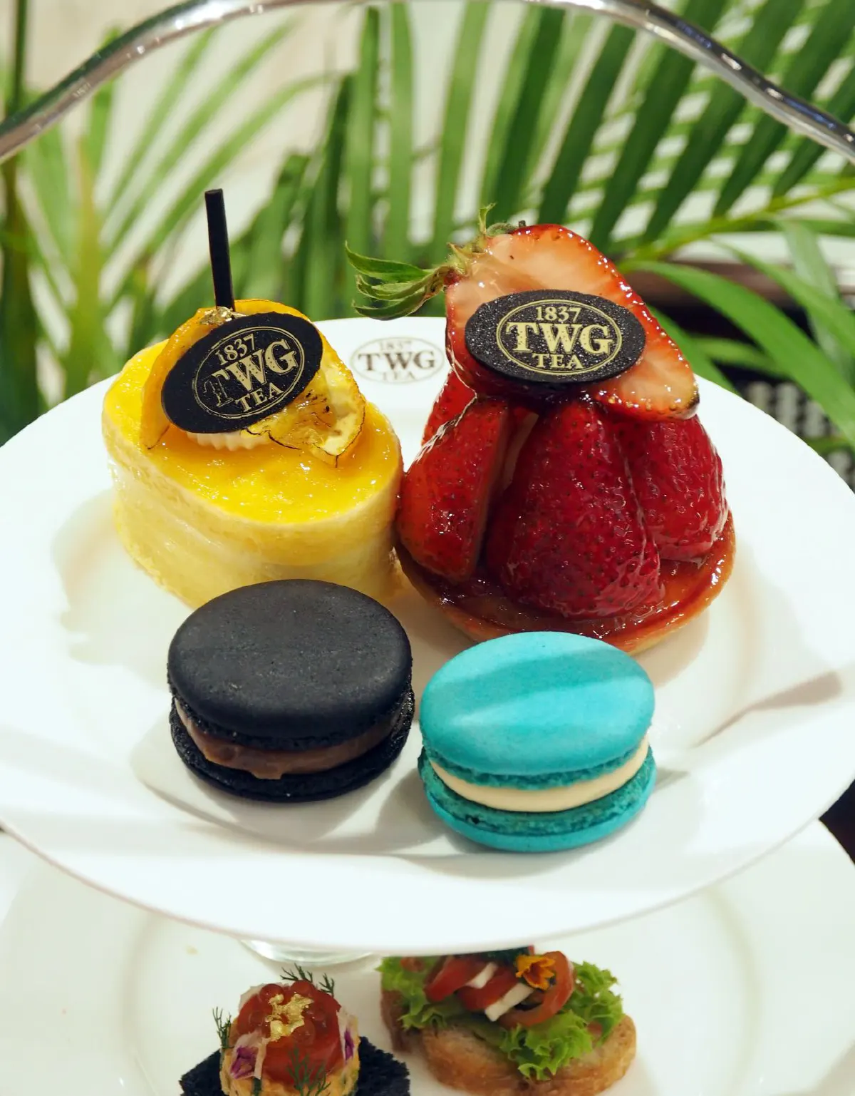 2022 Darjeeling First Flush ชาชั้นดีแห่งปีที่เปี่ยมล้นด้วยอรรถรส