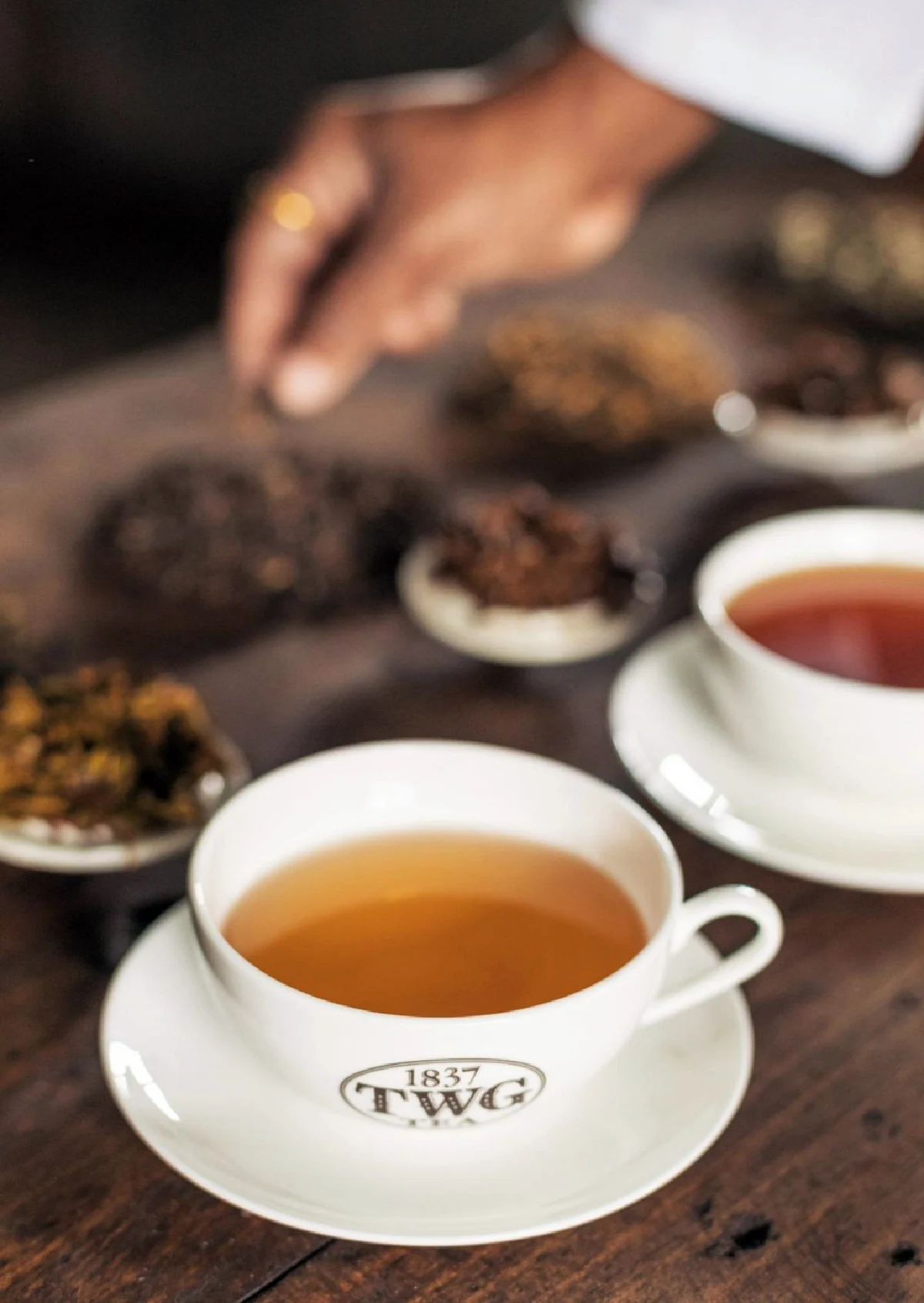 2022 Darjeeling First Flush ชาชั้นดีแห่งปีที่เปี่ยมล้นด้วยอรรถรส