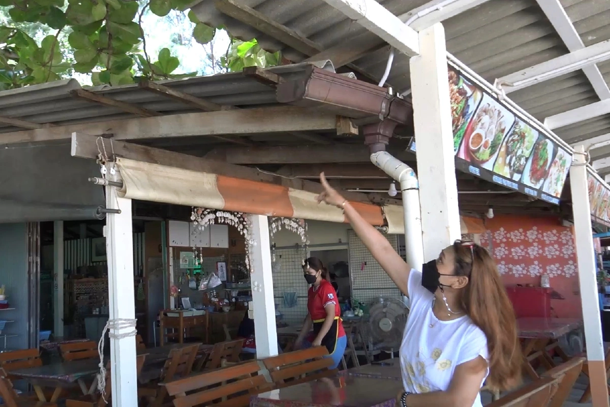 “ฝูงลิง”เขาน้อยอพยพหากินชายหาดแหลมสมิหลา เดือดร้อนร้านอาหาร-นักท่องเที่ยว