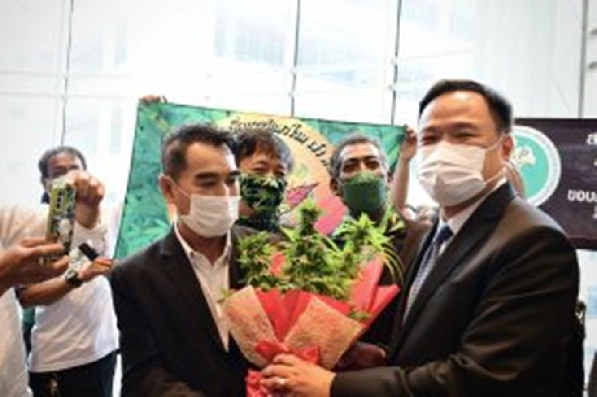 กลุ่มคนรักกัญชา แห่ให้กำลังใจ "อนุทิน" นำกัญชาขึ้นมาบนดิน