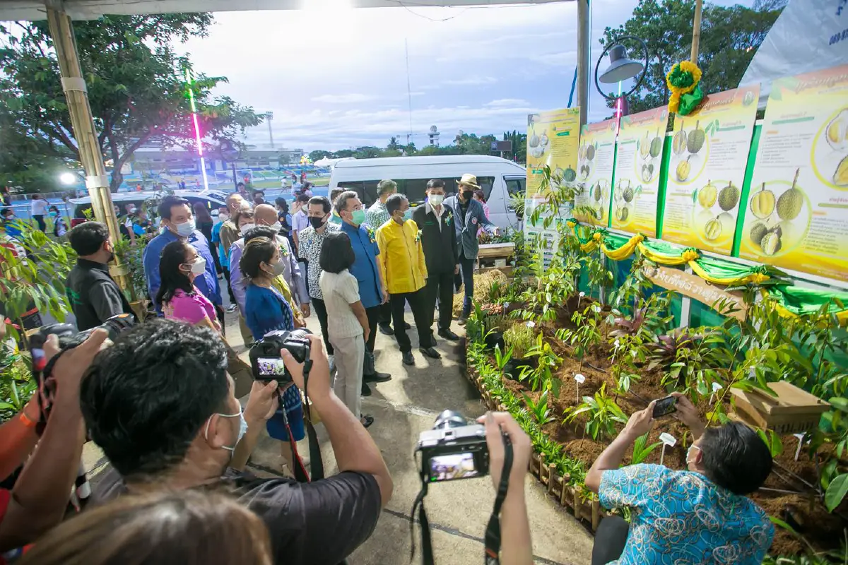 จัดยิ่งใหญ่!ชวนท่องเที่ยวเทศกาลผลไม้"ทุเรียนเมืองชุมพร"
