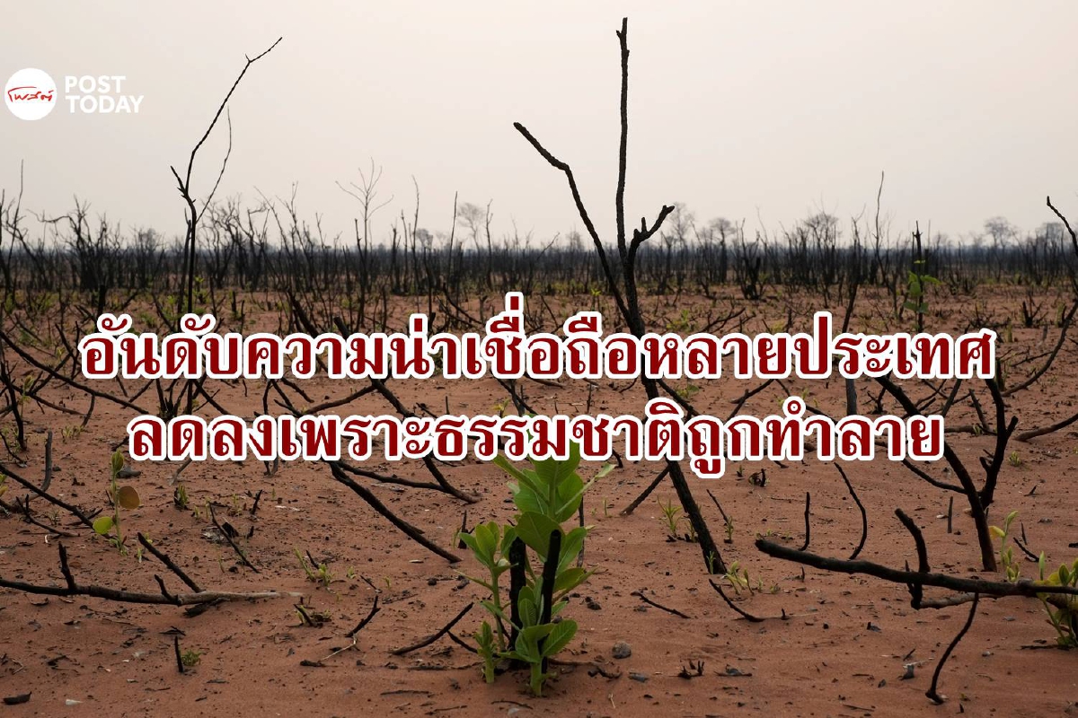 ธรรมชาติที่ถูกทำลายทำให้หลายประเทศอาจต้องเผชิญกับวิกฤตการเงินได้อย่างไร