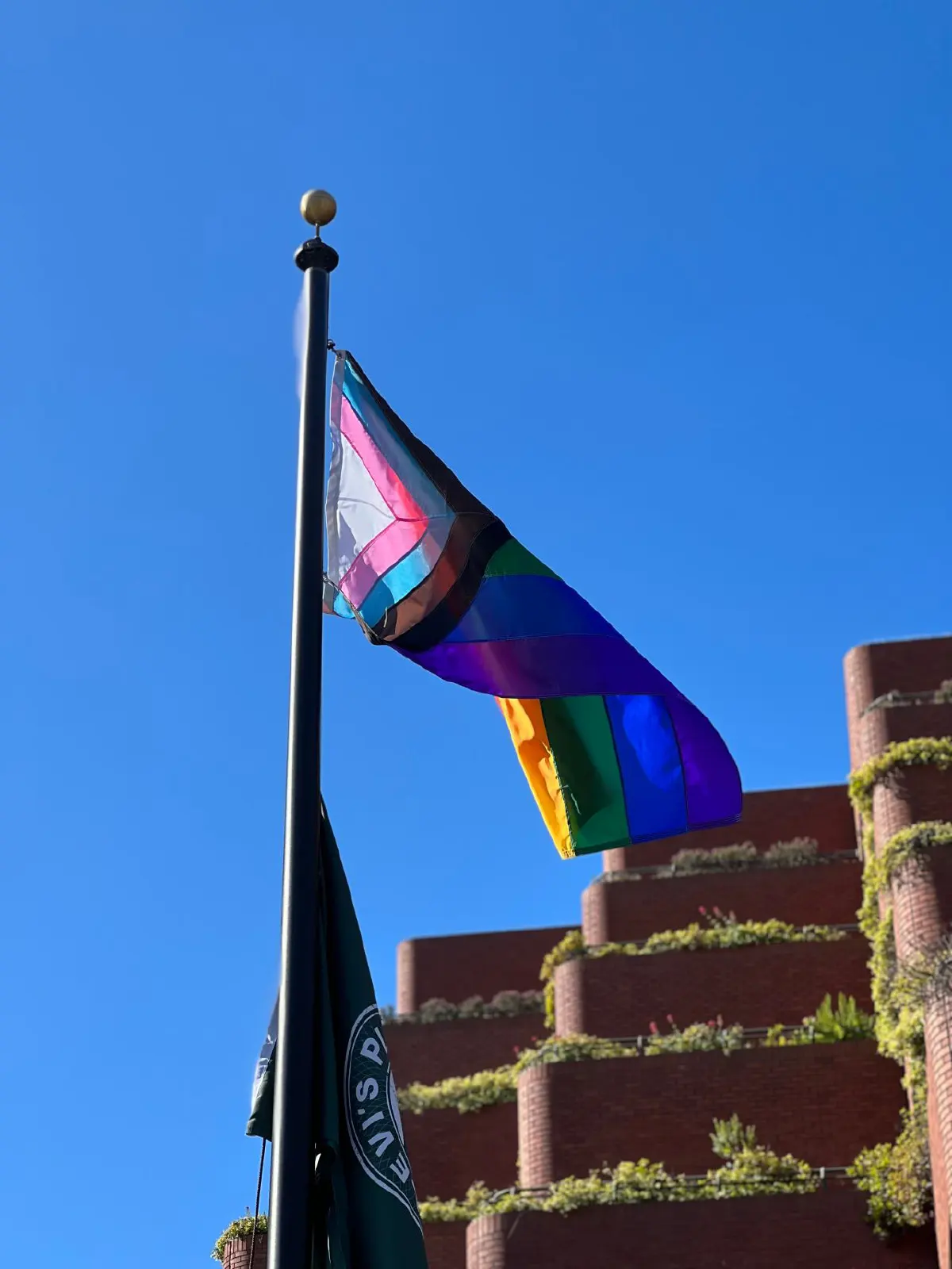 ลีวาย สเตราส์ แอนด์ โค ยกระดับการเฉลิมฉลอง Pride Month