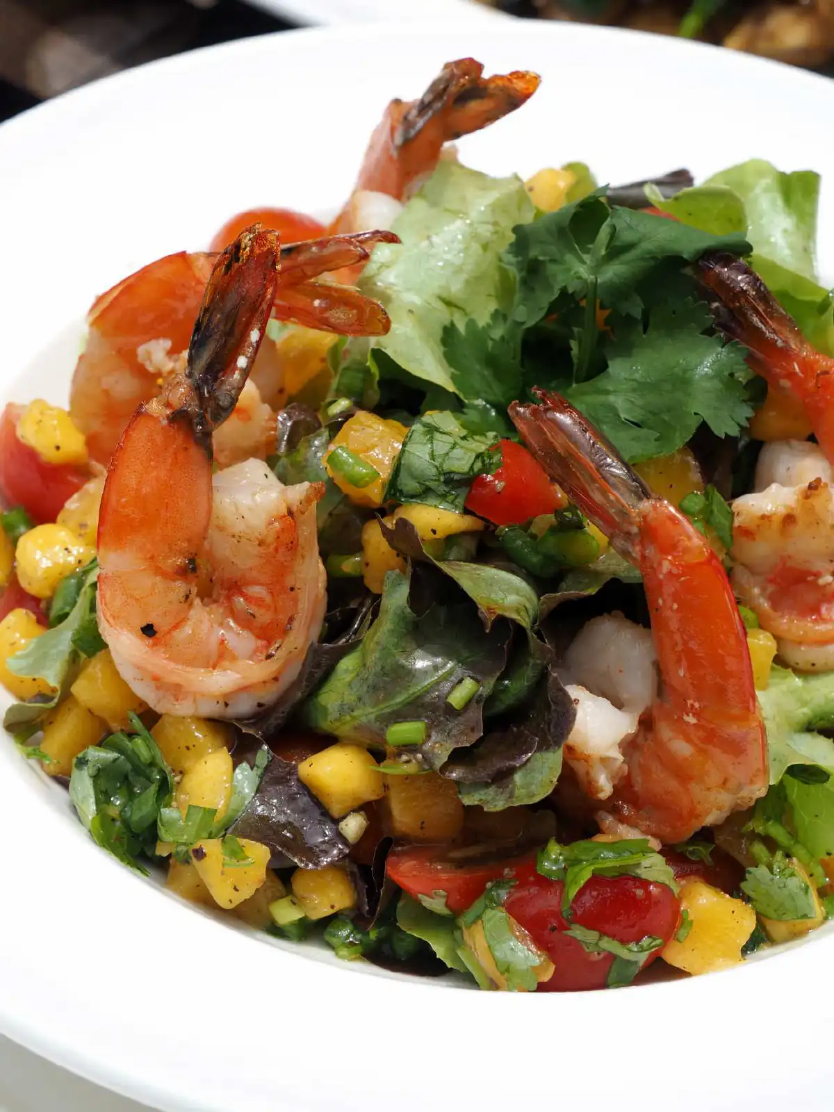 Centara Koh Chang Tropicana Resort ความงดงามสุดขอบทะเลตะวันออกของไทย