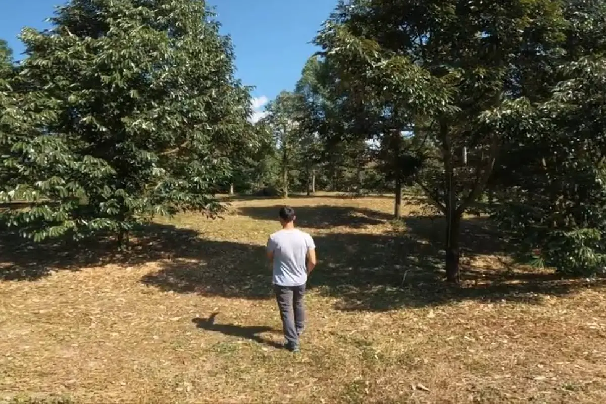 เปิดอาณาจักร"เวียร์ ศุกลวัฒน์"สวนทุเรียน 8 ไร่ 8 ล้านที่บ้านนาสาร