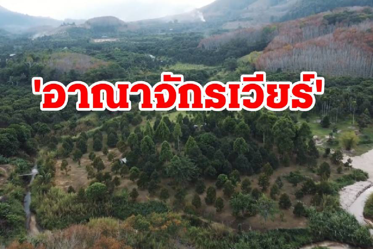 เปิดอาณาจักร"เวียร์ ศุกลวัฒน์"สวนทุเรียน 8 ไร่ 8 ล้านที่บ้านนาสาร เปิดอาณาจักร"เวียร์ ศุกลวัฒน์"สวนทุเรียน 8 ไร่ 8 ล้านที่บ้านนาสาร