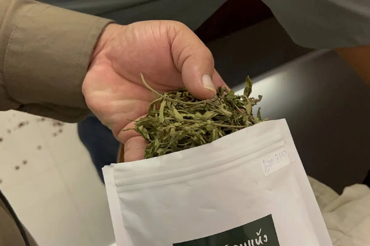 ชายชาวนอเวย์คลั่งใช้มีดแทงตัวเองสาหัส พบกัญชาในที่เกิดเหตุ