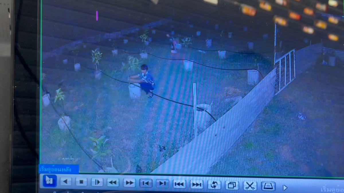 เจ้าของสวนสุดช้ำ คนร้ายขโมยกระท่อม ถอนรากถอนโคน