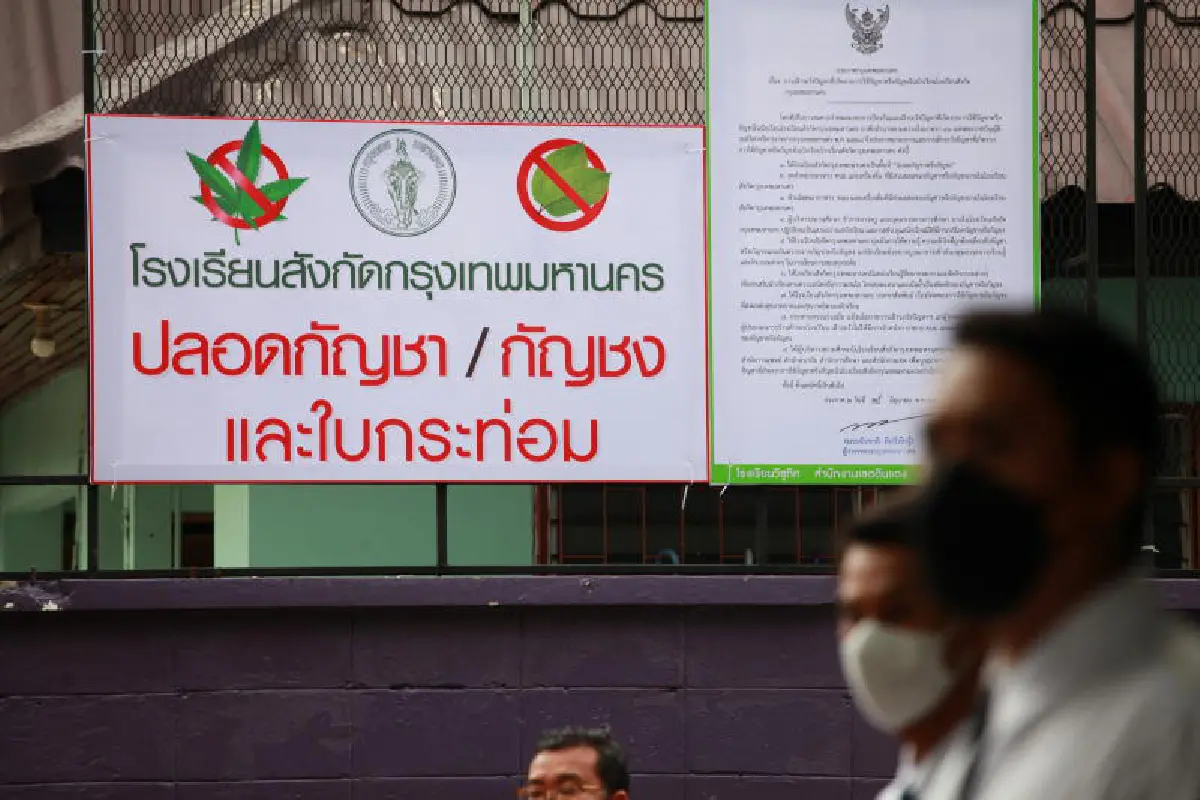 ว่าด้วยกัญชาเสรี