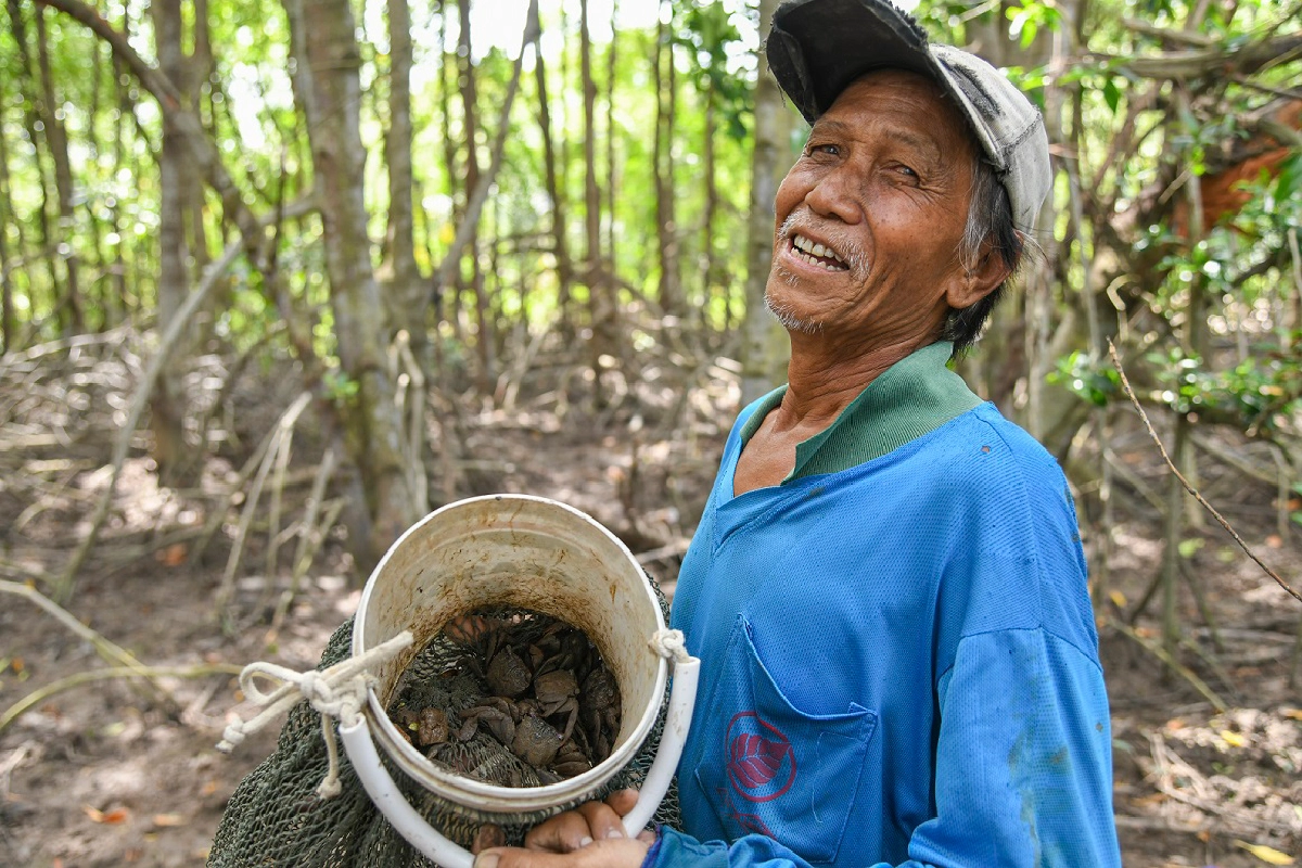 เรื่องเล่าอัศจรรย์จากป่าชายเลนปากแม่น้ำบางปะกง 