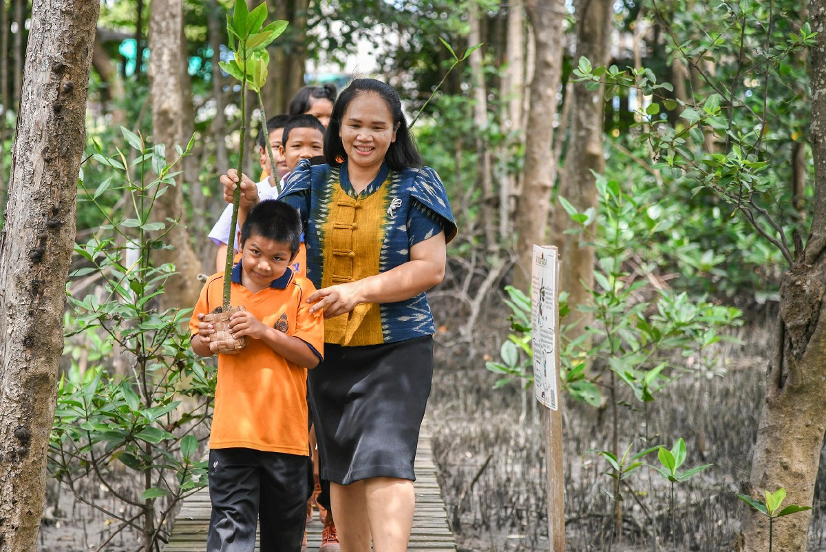 เรื่องเล่าอัศจรรย์จากป่าชายเลนปากแม่น้ำบางปะกง 