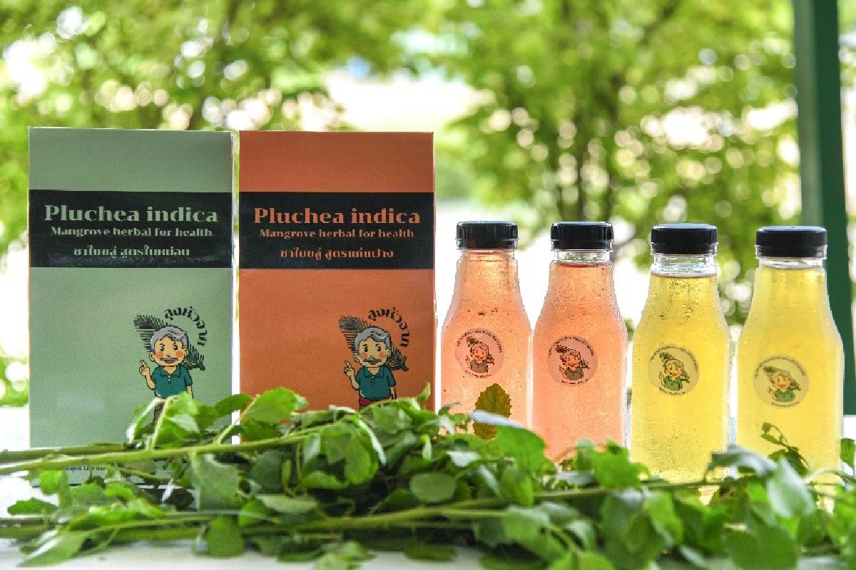 เรื่องเล่าอัศจรรย์จากป่าชายเลนปากแม่น้ำบางปะกง 