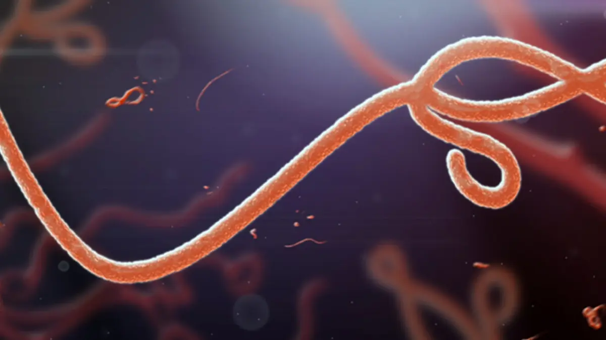 Next to know – การรักษาหายที่ไม่หาย เมื่อเชื้ออีโบลาสามารถเข้าไปซ่อนในสมอง