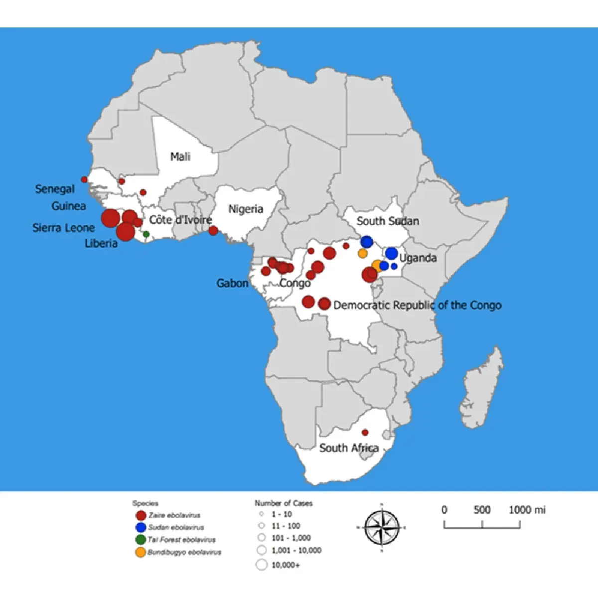 Next to know – การรักษาหายที่ไม่หาย เมื่อเชื้ออีโบลาสามารถเข้าไปซ่อนในสมอง