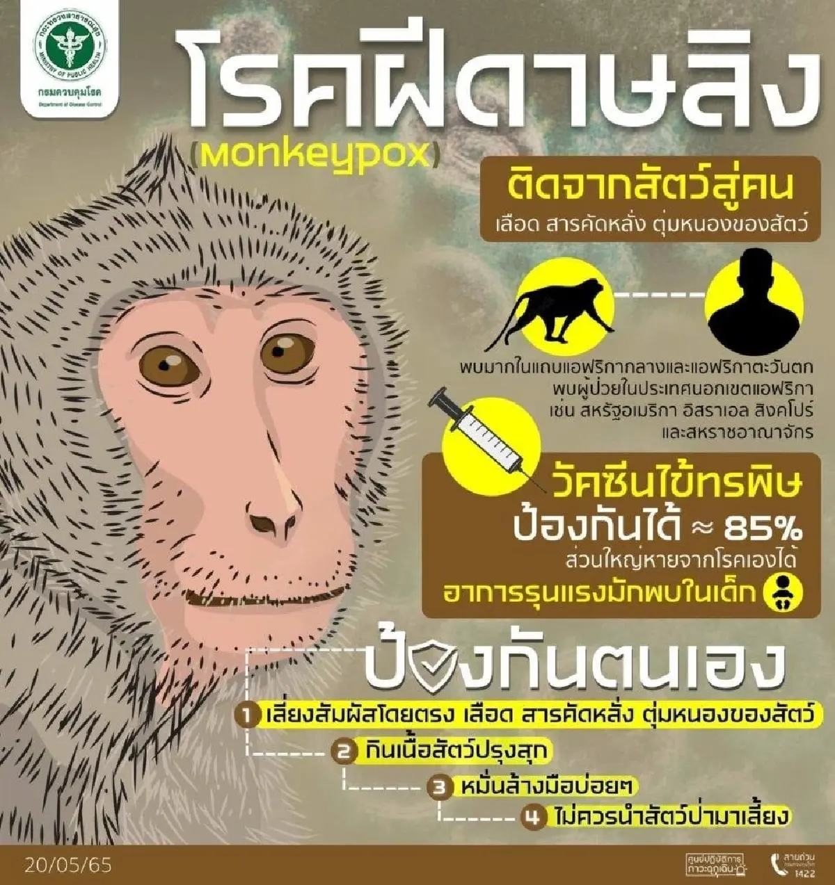 ฝีดาษลิงคืออะไร? น่ากลัวแค่ไหน? มีวิธีรับมืออย่างไร?