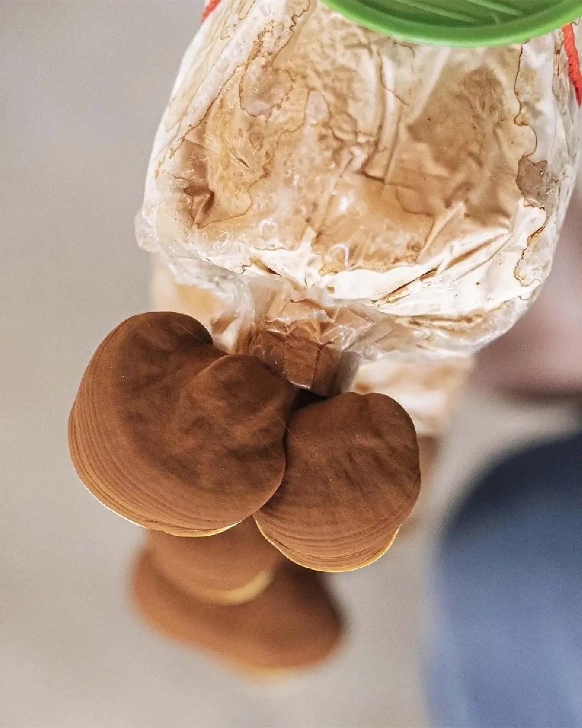 ‘ธนาคารทรัพยากรชีวภาพ’ พื้นที่ปลอดภัยของบรรดาสิ่งมีชีวิต