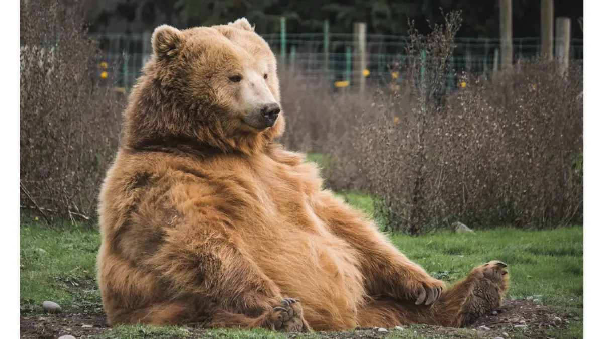 สตาร์ทอัพจากแดนภารตะ "5ire" ยูนิคอร์นตัวใหม่แห่งวงการ Blockchain