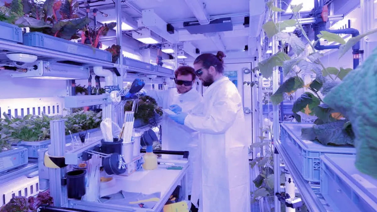 เมื่อการปลูกพืชไม่จำเป็นต้องใช้แสงอีกต่อไป