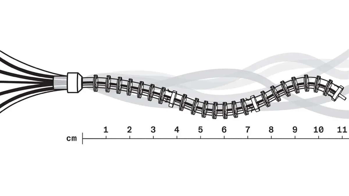 เมื่อหุ่นยนต์งูกำลังจะถูกใช้ในการผ่าตัด