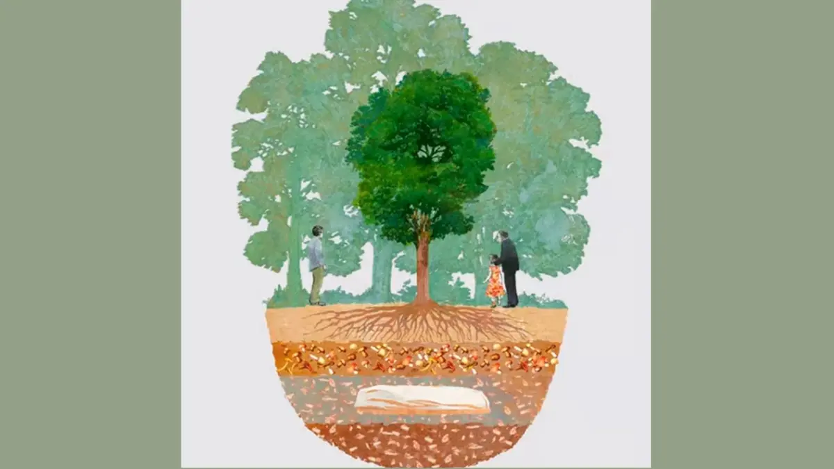 ขอเกิดใหม่เป็นต้นไม้: จากไปอย่างเรียบง่าย แบบไม่ทิ้งภาระให้กับโลก