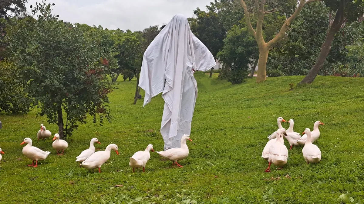 ปริศนาเหตุ ‘เดจาวู’ สู่คำตอบที่(เกือบ)อธิบายได้ทางวิทยาศาสตร์