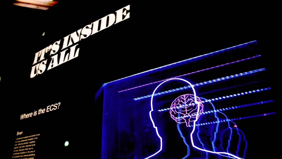 ปริศนาเหตุ ‘เดจาวู’ สู่คำตอบที่(เกือบ)อธิบายได้ทางวิทยาศาสตร์