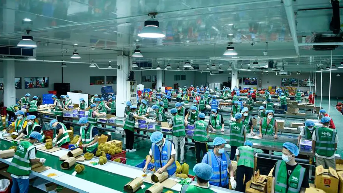 บริษัทนำเข้าทุเรียนจากไทย เข้าตลาดหุ้นฮ่องกง