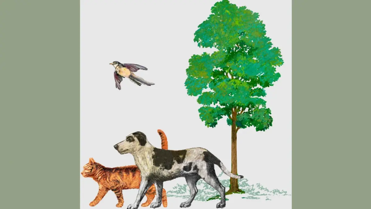 ขอเกิดใหม่เป็นต้นไม้: จากไปอย่างเรียบง่าย แบบไม่ทิ้งภาระให้กับโลก