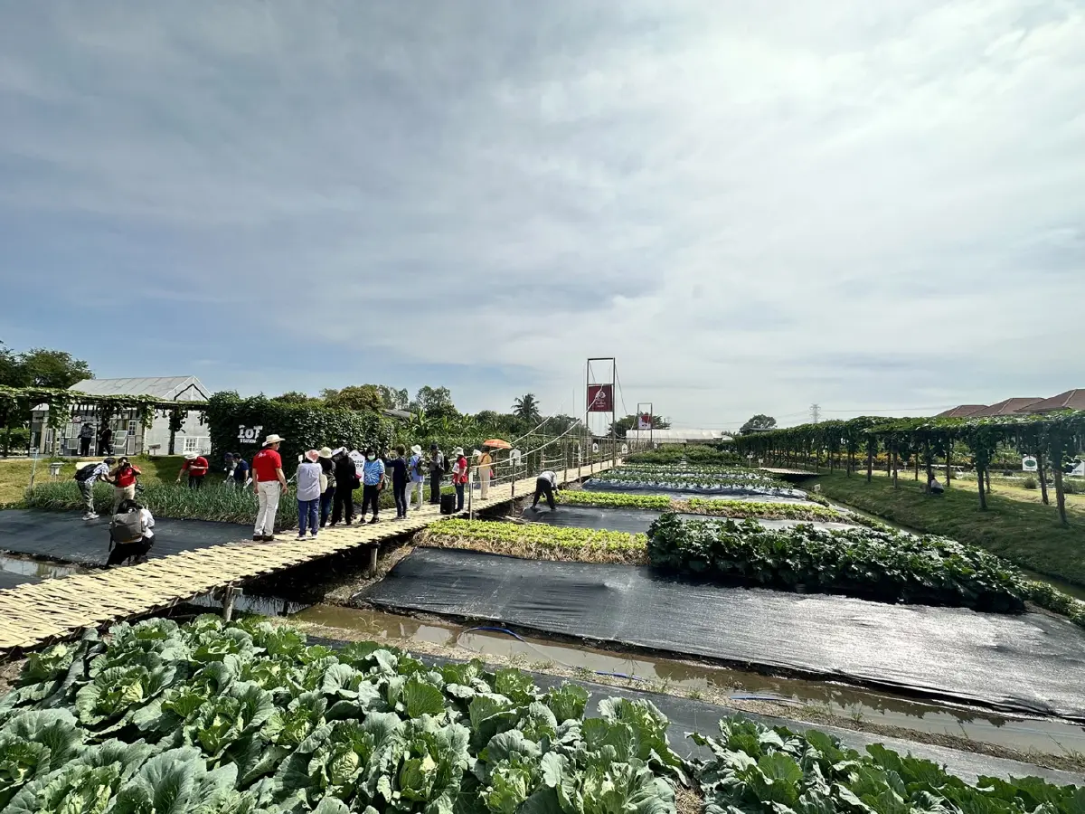 ชวนไปเที่ยว ‘เนเธอร์แลนด์เมืองไทย’ ในช่วงวีคเอนด์
