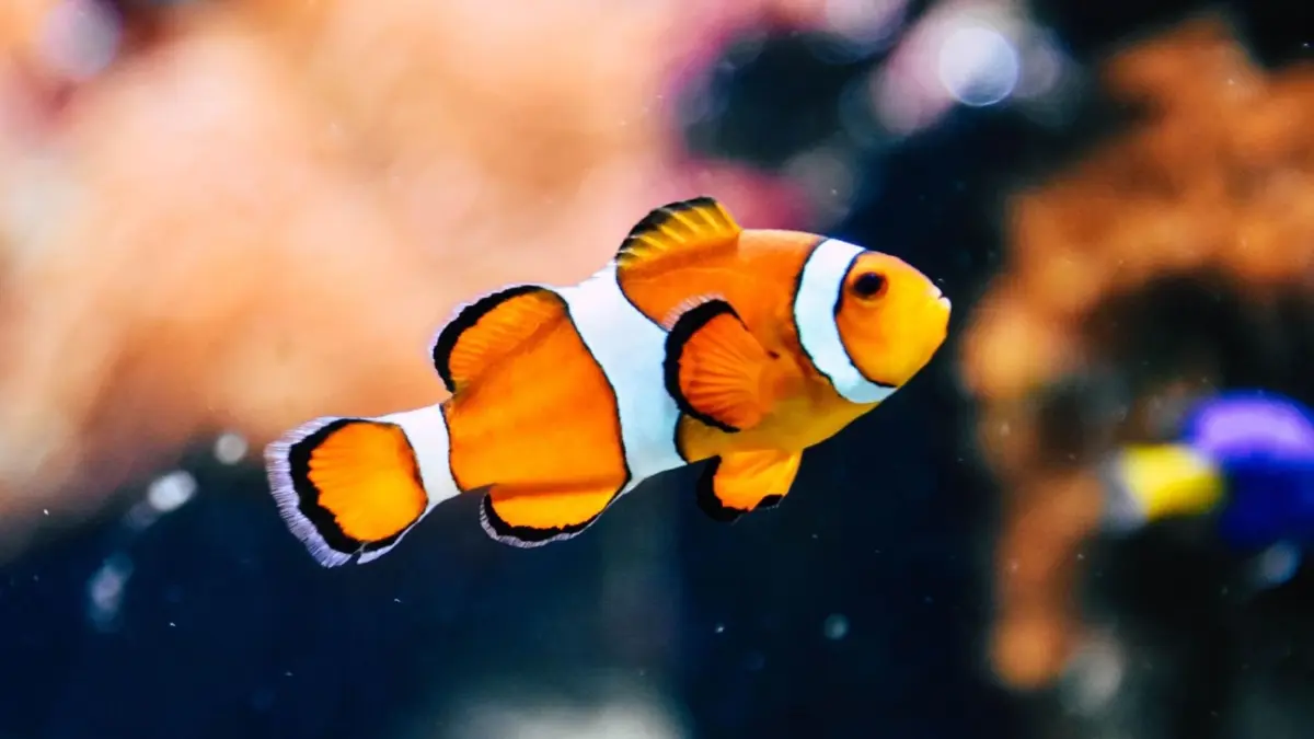 เราไม่ได้ใบ้ แค่นายไม่ได้ยิน สัตว์บางชนิด ‘ขี้เม้าท์’ กว่าเราคิด