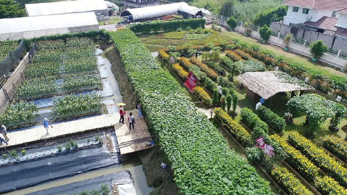 ชวนไปเที่ยว ‘เนเธอร์แลนด์เมืองไทย’ ในช่วงวีคเอนด์