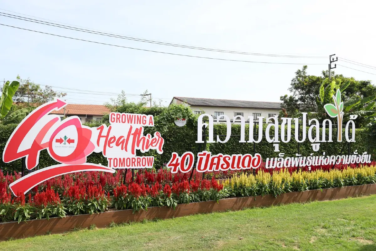 ชวนไปเที่ยว ‘เนเธอร์แลนด์เมืองไทย’ ในช่วงวีคเอนด์
