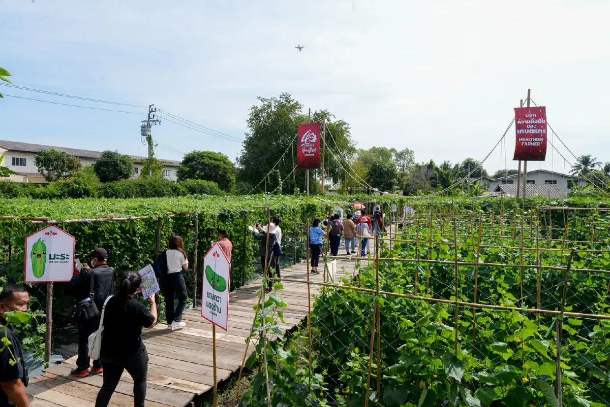 ชวนไปเที่ยว ‘เนเธอร์แลนด์เมืองไทย’ ในช่วงวีคเอนด์