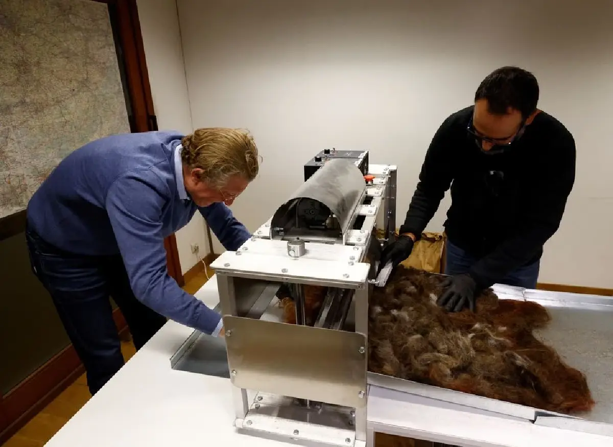 เบลเยียมปิ๊งโครงการ ‘รีไซเคิลเส้นผม’ เพื่อปกป้องสิ่งแวดล้อม